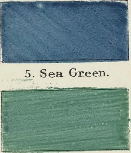 An illustration from A nomenclature of colors for naturalists : and compendium of useful knowledge for ornithologists, 1886, leaf 174