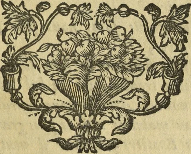 An illustration from L'ecole de la mignature : dans laquelle on peut aisément apprendre à peindre sans maitre, ainsi que les secrets de faire les plus belles couleurs, l'or brunni et l'or en coquille ..., 1759, leaf 116