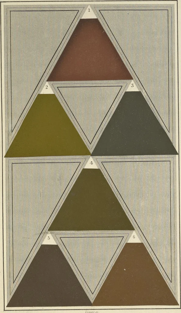 An illustration from A nomenclature of colours, applicable to the arts and natural sciences, to manufactures and other purposes of general utility, 1846, leaf 116