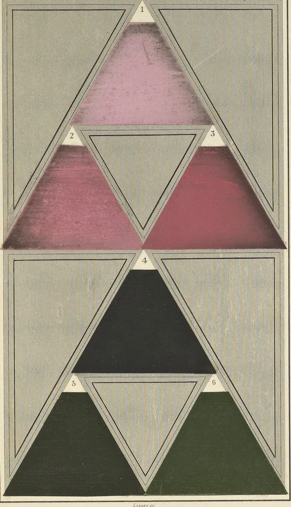 An illustration from A nomenclature of colours, applicable to the arts and natural sciences, to manufactures and other purposes of general utility, 1846, leaf 120
