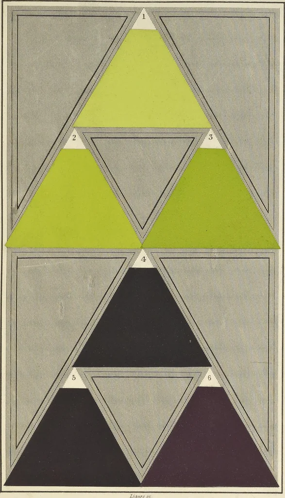 An illustration from A nomenclature of colours, applicable to the arts and natural sciences, to manufactures and other purposes of general utility, 1846, leaf 172