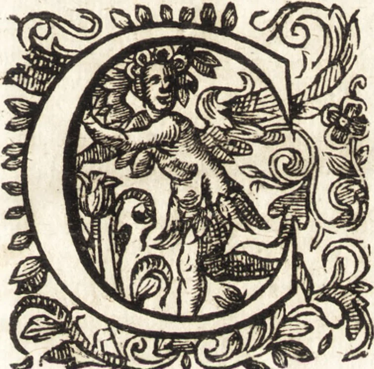 An illustration from Le vray et methodique cours de la physique resolutiue, vulgairement dite chymie : representé par figures generales & particulieres : pour connoistre la theotechnie ergocosmique, c'est à dire, l'art de Dieu, en l'ouurage de l'vniuers, 1653, leaf 14