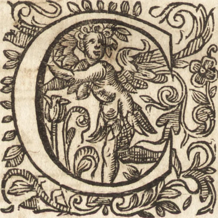 An illustration from Le vray et methodique cours de la physique resolutiue, vulgairement dite chymie : representé par figures generales & particulieres : pour connoistre la theotechnie ergocosmique, c'est à dire, l'art de Dieu, en l'ouurage de l'vniuers, 1653, leaf 169
