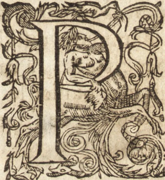 An illustration from Le vray et methodique cours de la physique resolutiue, vulgairement dite chymie : representé par figures generales & particulieres : pour connoistre la theotechnie ergocosmique, c'est à dire, l'art de Dieu, en l'ouurage de l'vniuers, 1653, leaf 178