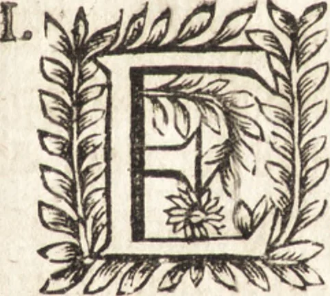 An illustration from Le vray et methodique cours de la physique resolutiue, vulgairement dite chymie : representé par figures generales & particulieres : pour connoistre la theotechnie ergocosmique, c'est à dire, l'art de Dieu, en l'ouurage de l'vniuers, 1653, leaf 240