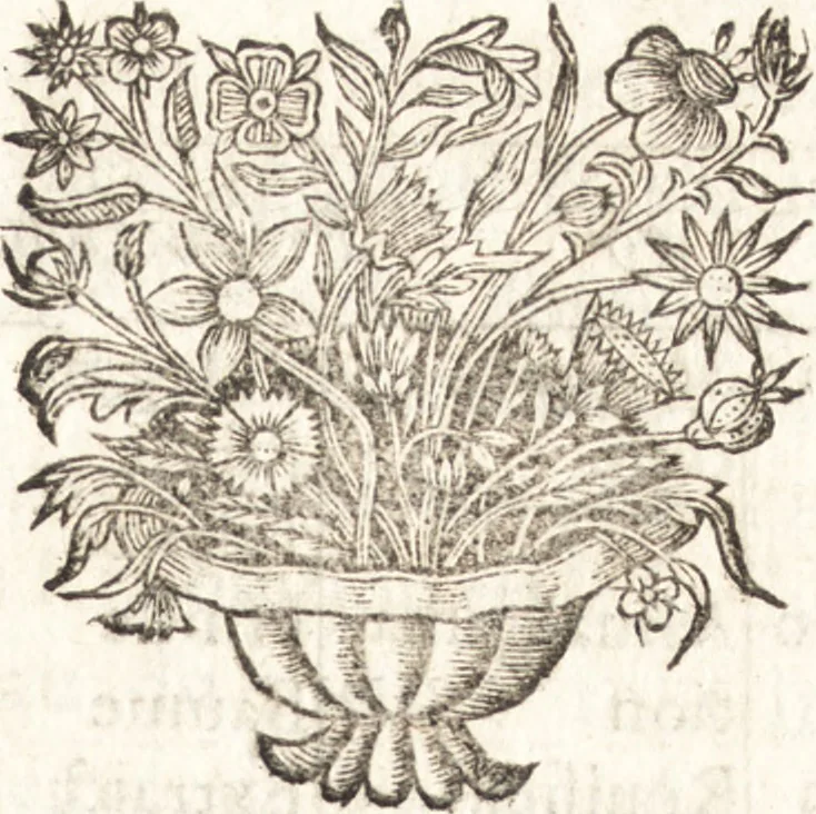 An illustration from Le vray et methodique cours de la physique resolutiue, vulgairement dite chymie : representé par figures generales & particulieres : pour connoistre la theotechnie ergocosmique, c'est à dire, l'art de Dieu, en l'ouurage de l'vniuers, 1653, leaf 252