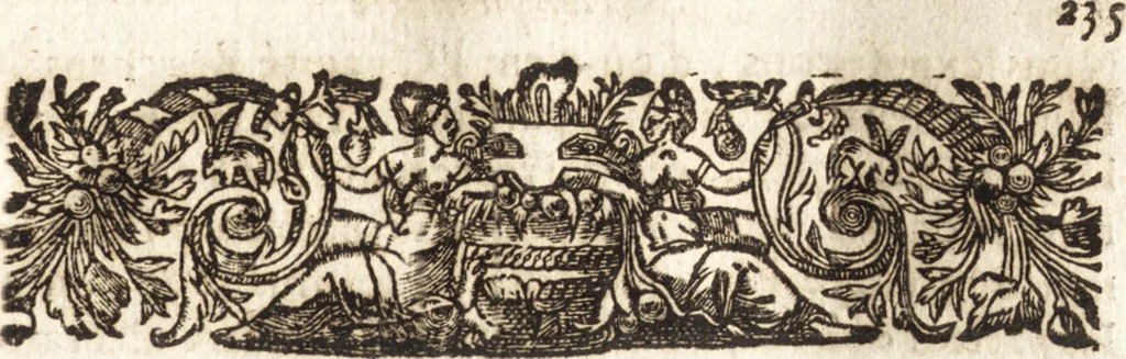 An illustration from Le vray et methodique cours de la physique resolutiue, vulgairement dite chymie : representé par figures generales & particulieres : pour connoistre la theotechnie ergocosmique, c'est à dire, l'art de Dieu, en l'ouurage de l'vniuers, 1653, leaf 258