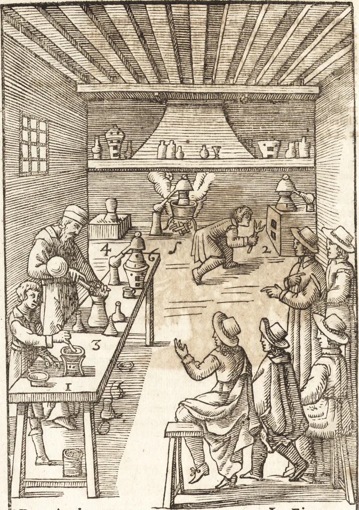 An illustration from Le vray et methodique cours de la physique resolutiue, vulgairement dite chymie : representé par figures generales & particulieres : pour connoistre la theotechnie ergocosmique, c'est à dire, l'art de Dieu, en l'ouurage de l'vniuers, 1653, leaf 263