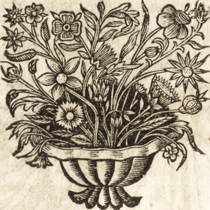 An illustration from Le vray et methodique cours de la physique resolutiue, vulgairement dite chymie : representé par figures generales & particulieres : pour connoistre la theotechnie ergocosmique, c'est à dire, l'art de Dieu, en l'ouurage de l'vniuers, 1653, leaf 290