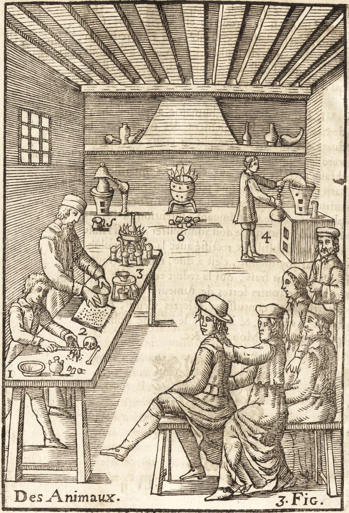 An illustration from Le vray et methodique cours de la physique resolutiue, vulgairement dite chymie : representé par figures generales & particulieres : pour connoistre la theotechnie ergocosmique, c'est à dire, l'art de Dieu, en l'ouurage de l'vniuers, 1653, leaf 291