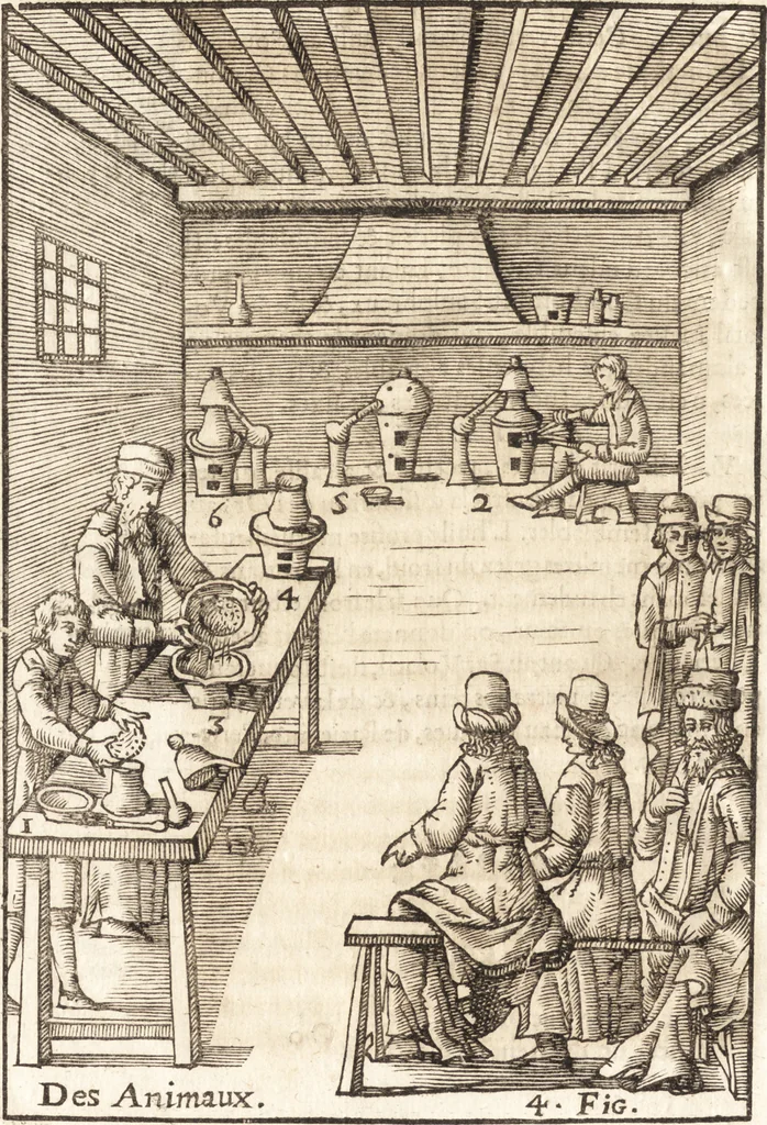 An illustration from Le vray et methodique cours de la physique resolutiue, vulgairement dite chymie : representé par figures generales & particulieres : pour connoistre la theotechnie ergocosmique, c'est à dire, l'art de Dieu, en l'ouurage de l'vniuers, 1653, leaf 313