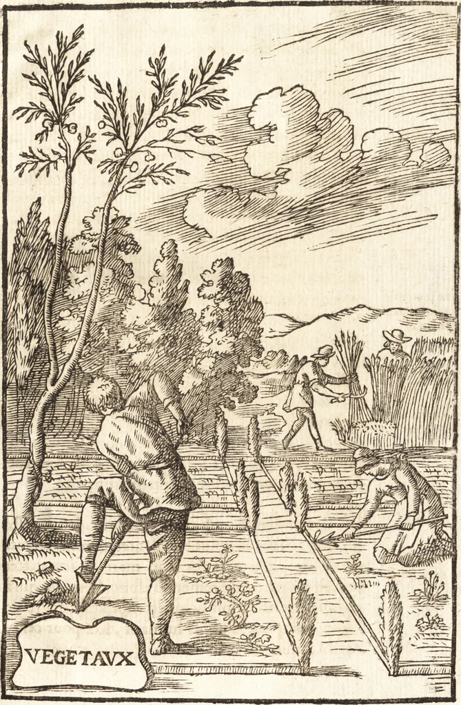 An illustration from Le vray et methodique cours de la physique resolutiue, vulgairement dite chymie : representé par figures generales & particulieres : pour connoistre la theotechnie ergocosmique, c'est à dire, l'art de Dieu, en l'ouurage de l'vniuers, 1653, leaf 332