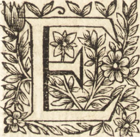 An illustration from Le vray et methodique cours de la physique resolutiue, vulgairement dite chymie : representé par figures generales & particulieres : pour connoistre la theotechnie ergocosmique, c'est à dire, l'art de Dieu, en l'ouurage de l'vniuers, 1653, leaf 334