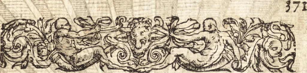 An illustration from Le vray et methodique cours de la physique resolutiue, vulgairement dite chymie : representé par figures generales & particulieres : pour connoistre la theotechnie ergocosmique, c'est à dire, l'art de Dieu, en l'ouurage de l'vniuers, 1653, leaf 340