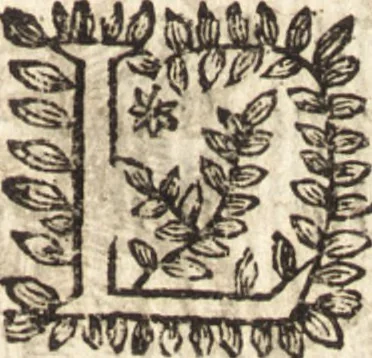 An illustration from Le vray et methodique cours de la physique resolutiue, vulgairement dite chymie : representé par figures generales & particulieres : pour connoistre la theotechnie ergocosmique, c'est à dire, l'art de Dieu, en l'ouurage de l'vniuers, 1653, leaf 340