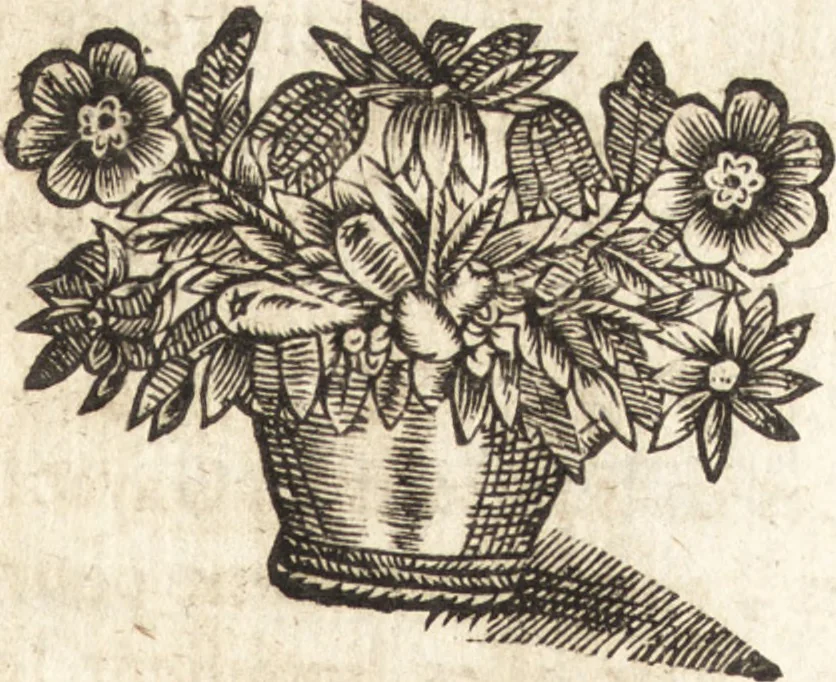 An illustration from Le vray et methodique cours de la physique resolutiue, vulgairement dite chymie : representé par figures generales & particulieres : pour connoistre la theotechnie ergocosmique, c'est à dire, l'art de Dieu, en l'ouurage de l'vniuers, 1653, leaf 354