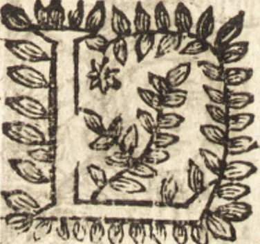 An illustration from Le vray et methodique cours de la physique resolutiue, vulgairement dite chymie : representé par figures generales & particulieres : pour connoistre la theotechnie ergocosmique, c'est à dire, l'art de Dieu, en l'ouurage de l'vniuers, 1653, leaf 356
