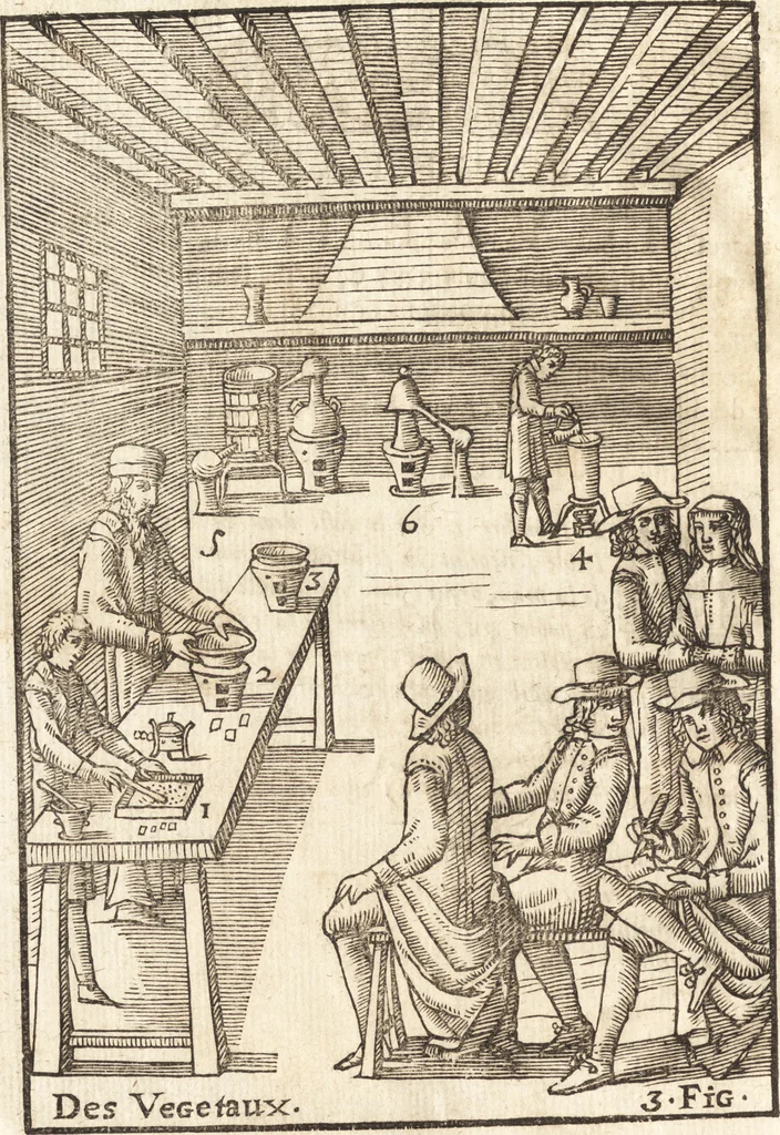 An illustration from Le vray et methodique cours de la physique resolutiue, vulgairement dite chymie : representé par figures generales & particulieres : pour connoistre la theotechnie ergocosmique, c'est à dire, l'art de Dieu, en l'ouurage de l'vniuers, 1653, leaf 375