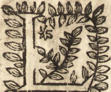 An illustration from Le vray et methodique cours de la physique resolutiue, vulgairement dite chymie : representé par figures generales & particulieres : pour connoistre la theotechnie ergocosmique, c'est à dire, l'art de Dieu, en l'ouurage de l'vniuers, 1653, leaf 376