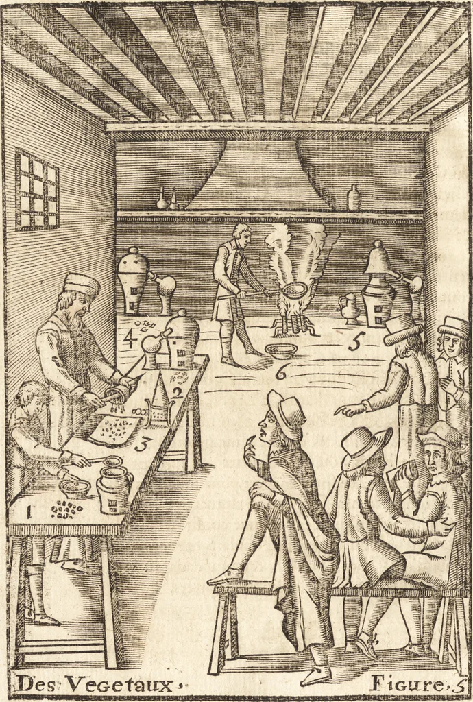 An illustration from Le vray et methodique cours de la physique resolutiue, vulgairement dite chymie : representé par figures generales & particulieres : pour connoistre la theotechnie ergocosmique, c'est à dire, l'art de Dieu, en l'ouurage de l'vniuers, 1653, leaf 415