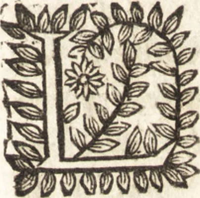 An illustration from Le vray et methodique cours de la physique resolutiue, vulgairement dite chymie : representé par figures generales & particulieres : pour connoistre la theotechnie ergocosmique, c'est à dire, l'art de Dieu, en l'ouurage de l'vniuers, 1653, leaf 438