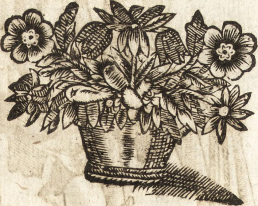 An illustration from Le vray et methodique cours de la physique resolutiue, vulgairement dite chymie : representé par figures generales & particulieres : pour connoistre la theotechnie ergocosmique, c'est à dire, l'art de Dieu, en l'ouurage de l'vniuers, 1653, leaf 478