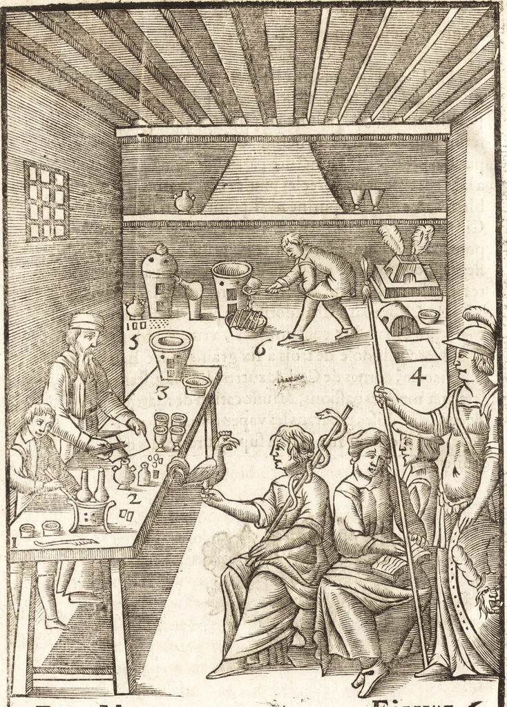 An illustration from Le vray et methodique cours de la physique resolutiue, vulgairement dite chymie : representé par figures generales & particulieres : pour connoistre la theotechnie ergocosmique, c'est à dire, l'art de Dieu, en l'ouurage de l'vniuers, 1653, leaf 621