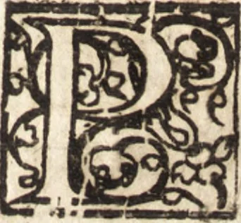 An illustration from Le vray et methodique cours de la physique resolutiue, vulgairement dite chymie : representé par figures generales & particulieres : pour connoistre la theotechnie ergocosmique, c'est à dire, l'art de Dieu, en l'ouurage de l'vniuers, 1653, leaf 64