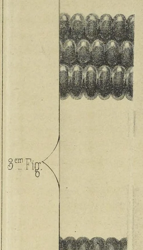 An illustration from Théorie des effets optiques que présentent les étoffes de soie, 1846, leaf 220