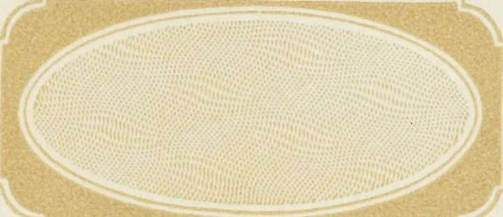 An illustration from Specimens of black and colored printing inks manufactured by H.D. Wade & Co., no. 50 Ann Street, New York, 1870, leaf 136