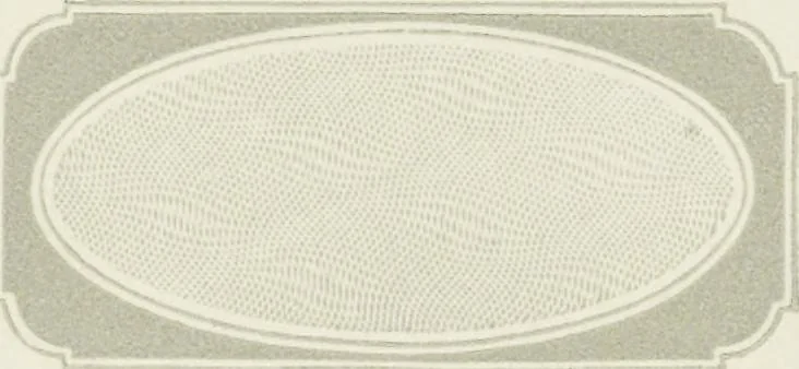 An illustration from Specimens of black and colored printing inks manufactured by H.D. Wade & Co., no. 50 Ann Street, New York, 1870, leaf 136