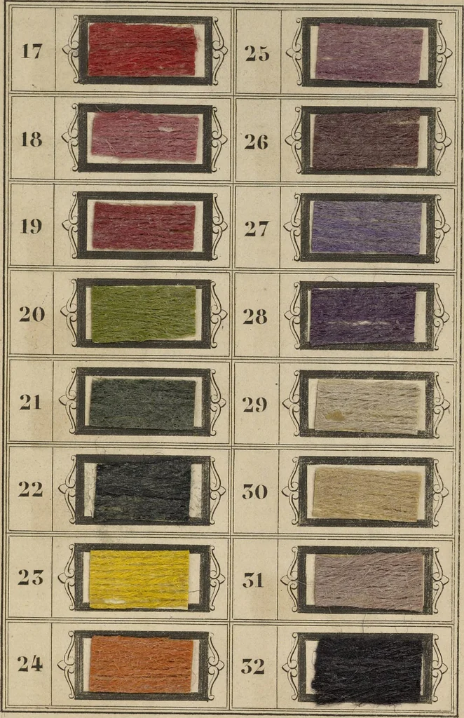 An illustration from Art de la teinture des laines: en toison, en fil, et en tissu, 1871, leaf 690