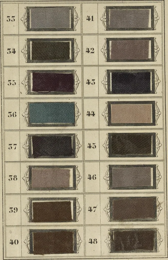 An illustration from Art de la teinture des laines: en toison, en fil, et en tissu, 1871, leaf 693