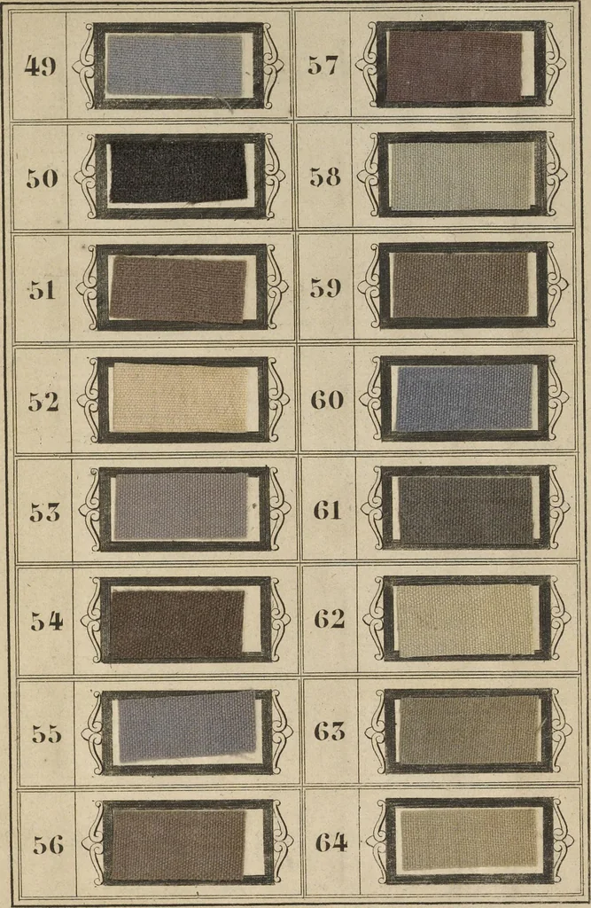 An illustration from Art de la teinture des laines: en toison, en fil, et en tissu, 1871, leaf 698