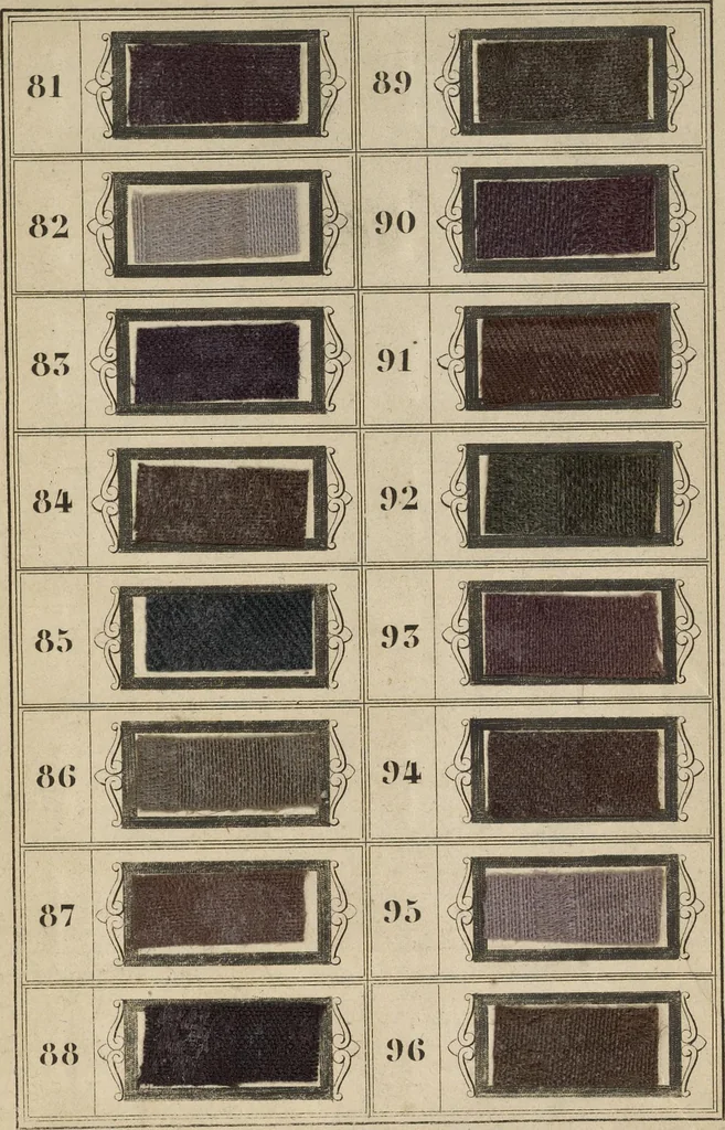 An illustration from Art de la teinture des laines: en toison, en fil, et en tissu, 1871, leaf 706