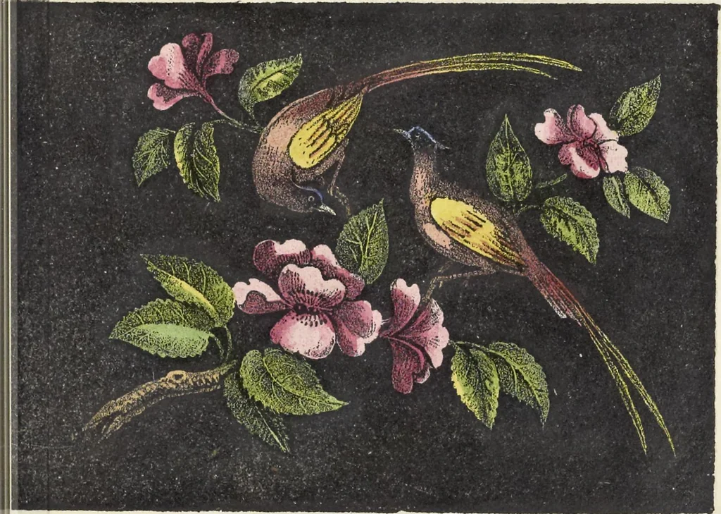 An illustration from Traité des peintures, applications et procédés employés sur bois, sur étoffes, sur papier : orné de 30 planches pour en faciliter le travail, 1834, leaf 12
