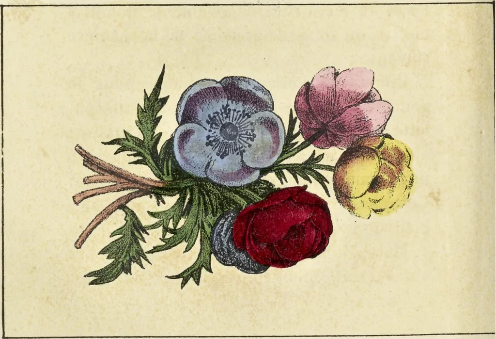 An illustration from Traité des peintures, applications et procédés employés sur bois, sur étoffes, sur papier : orné de 30 planches pour en faciliter le travail, 1834, leaf 87