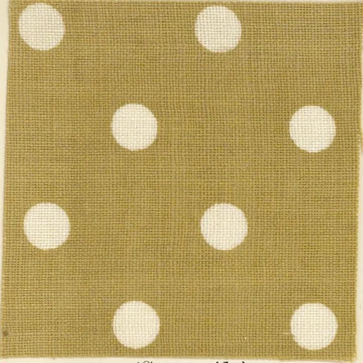 An illustration from Bleaching and calico-printing : a practical manual., 1896, leaf 176