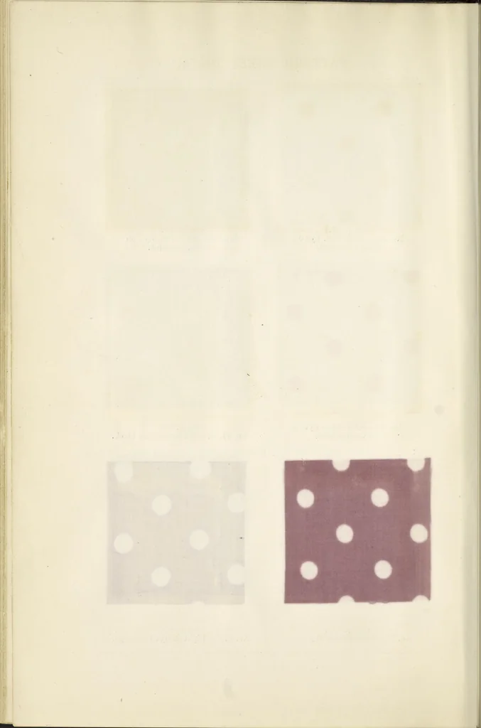 An illustration from Bleaching and calico-printing : a practical manual., 1896, leaf 177