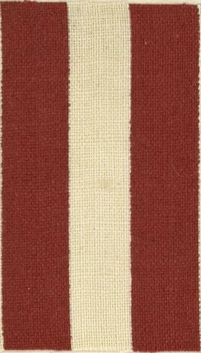 An illustration from Bleaching and calico-printing : a practical manual., 1896, leaf 184