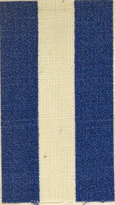 An illustration from Bleaching and calico-printing : a practical manual., 1896, leaf 192