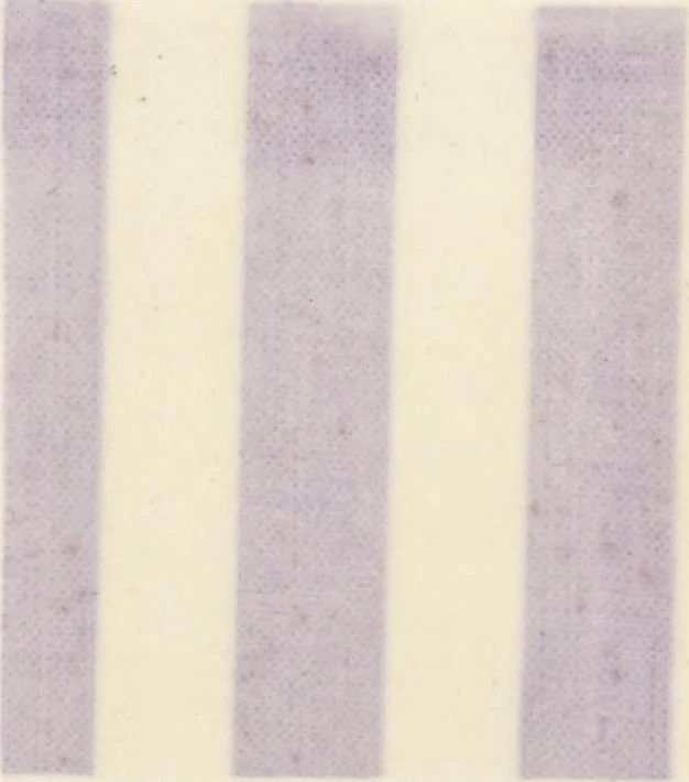 An illustration from Bleaching and calico-printing : a practical manual., 1896, leaf 201