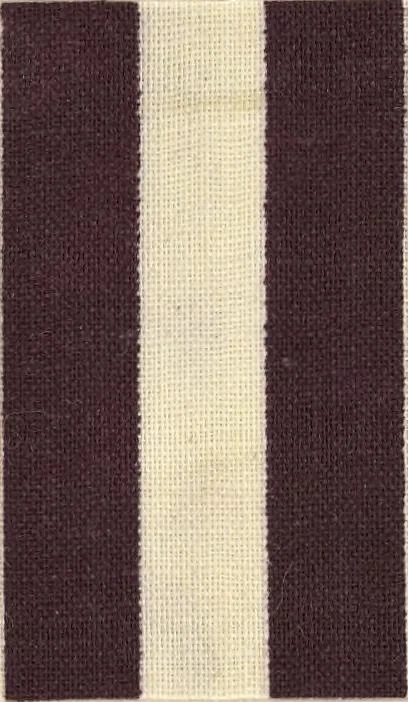 An illustration from Bleaching and calico-printing : a practical manual., 1896, leaf 204