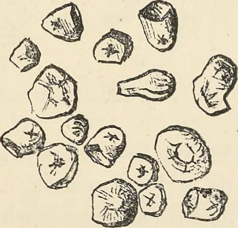 An illustration from Bleaching and calico-printing : a practical manual., 1896, leaf 86