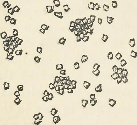 An illustration from Bleaching and calico-printing : a practical manual., 1896, leaf 87