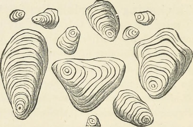 An illustration from Bleaching and calico-printing : a practical manual., 1896, leaf 87