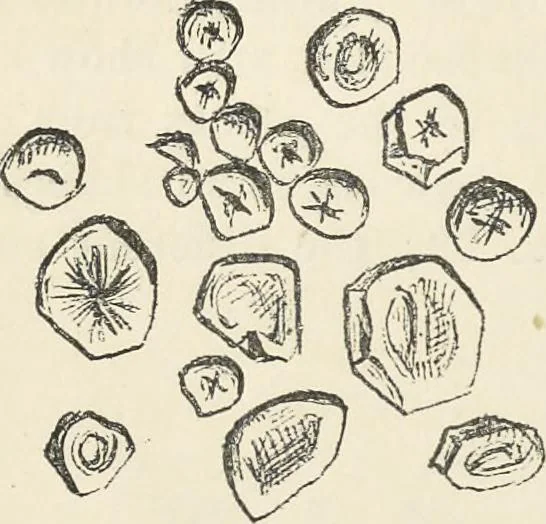 An illustration from Bleaching and calico-printing : a practical manual., 1896, leaf 87