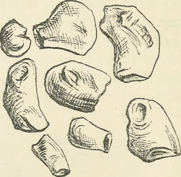 An illustration from Bleaching and calico-printing : a practical manual., 1896, leaf 87
