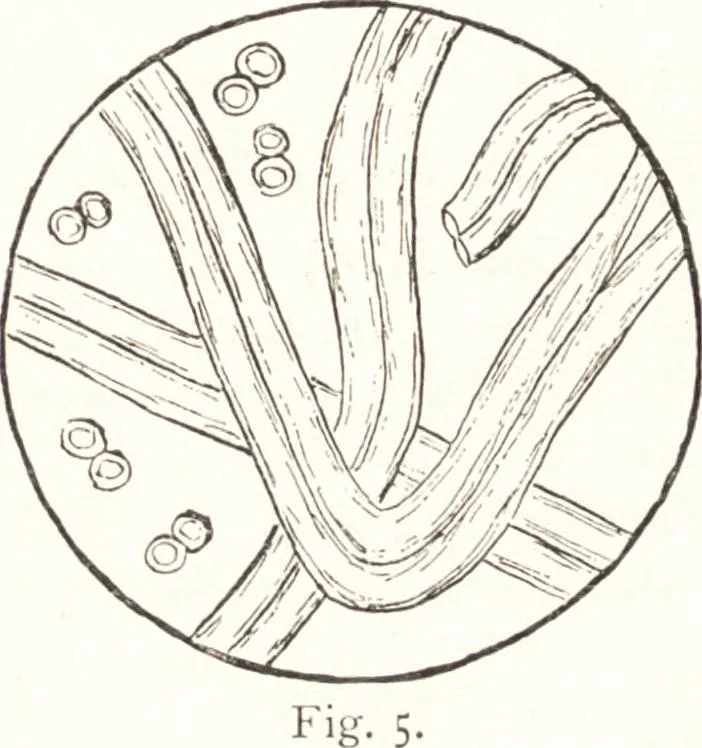 An illustration from Silk dyeing, printing, and finishing, 1892, leaf 16