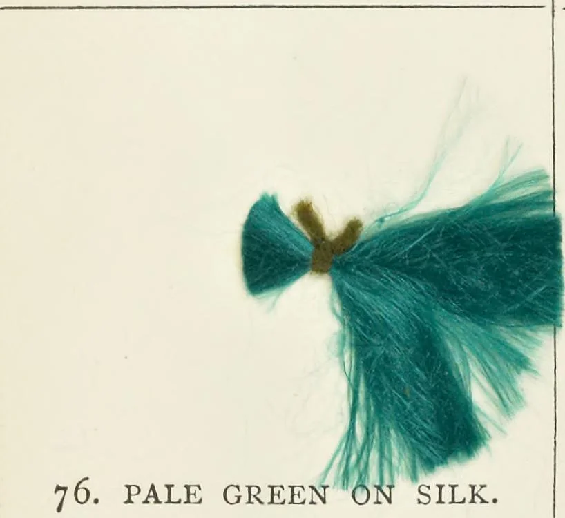 An illustration from Silk dyeing, printing, and finishing, 1892, leaf 250